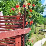 Julijana, Salara * Koper