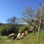 Lejlighed Julijana, Salara Koper