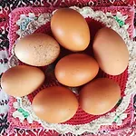 Lejlighed Julijana, Salara *