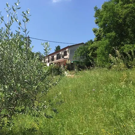 Julijana, Salara Lejlighed *