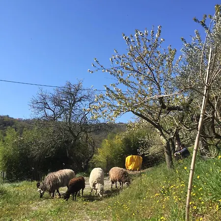 Apartmán Julijana, Salara Koper