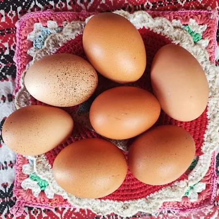 Apartmán Julijana, Salara *