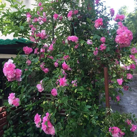 Julijana, Salara Apartmán *