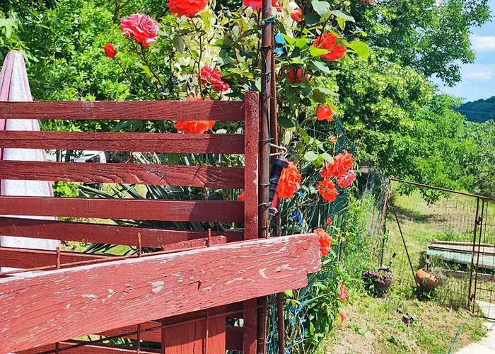 Julijana, Salara * 科佩尔