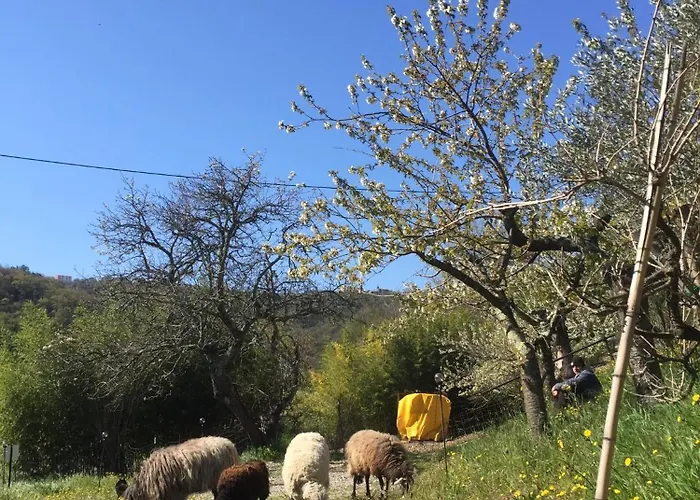 Διαμέρισμα Julijana, Salara Κόπερ