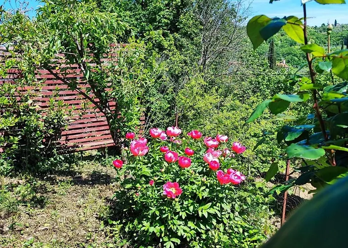 Julijana, Salara 公寓