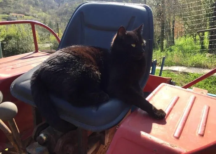 Διαμέρισμα Julijana, Salara *