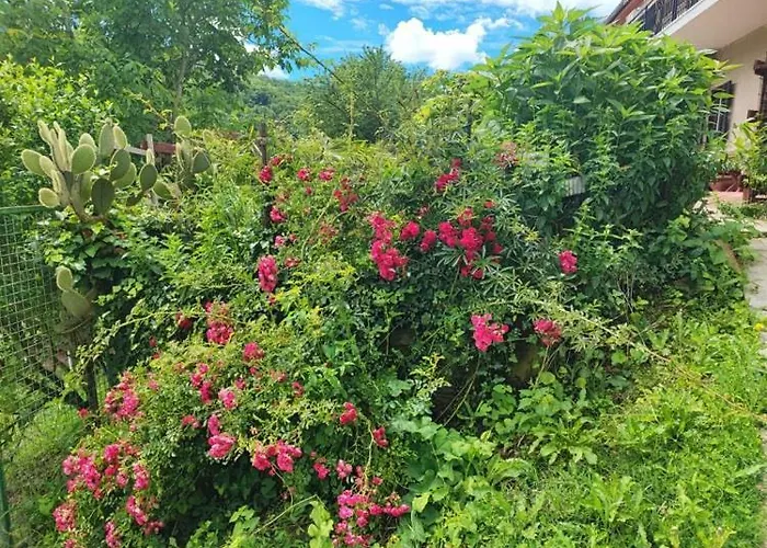 Julijana, Salara Διαμέρισμα *