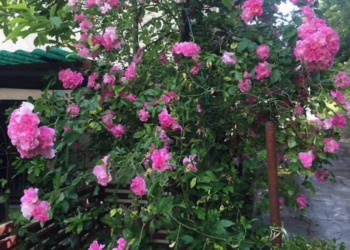 Julijana, Salara Διαμέρισμα *