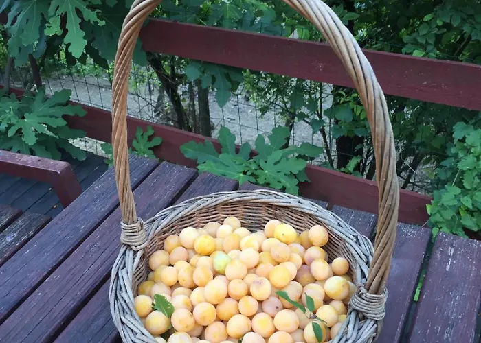 Διαμέρισμα Julijana, Salara Κόπερ